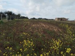 Terreno agricolo in Commerciale