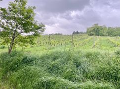 Terreno agricolo in Commerciale