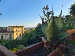 Villetta a schiera in Residenziale