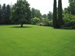 Terreno edificabile in Residenziale