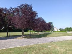 Villa in Residenziale