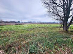 Terreno agricolo in Commerciale