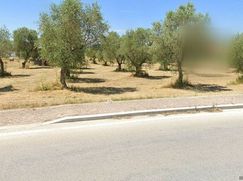 Terreno agricolo in Commerciale
