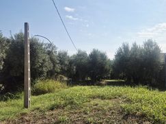 Terreno edificabile in Residenziale