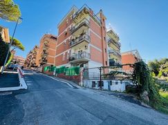 Negozio/Locale commerciale in Commerciale