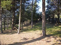 Terreno edificabile in Residenziale