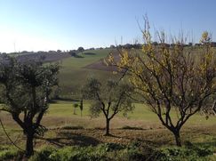Rustico/Casale in Residenziale