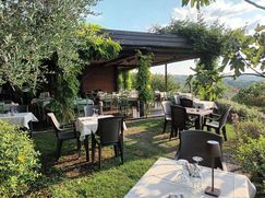 Terreno agricolo in Commerciale