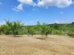 Terreno agricolo in Commerciale