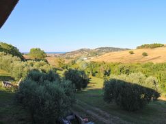 Rustico/Casale in Residenziale