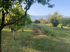 Terreno edificabile in Residenziale