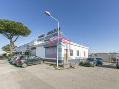 Negozio/Locale commerciale in Commerciale