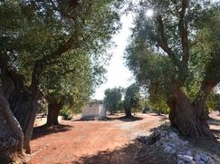 Rustico/Casale in Residenziale