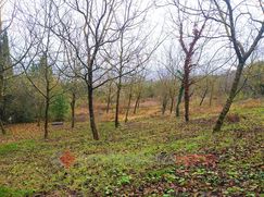 Terreno agricolo in Commerciale