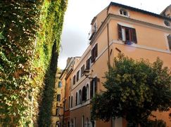 Negozio/Locale commerciale in Commerciale