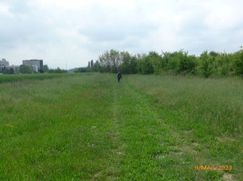 Terreno agricolo in Commerciale