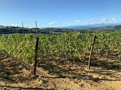 Rustico/Casale in Residenziale