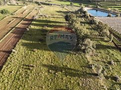 Terreno agricolo in Commerciale