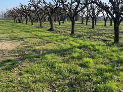 Terreno agricolo in Commerciale