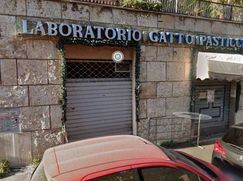 Negozio/Locale commerciale in Commerciale
