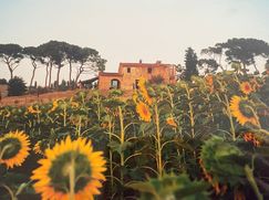 Rustico/Casale in Residenziale