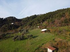 Rustico/Casale in Residenziale