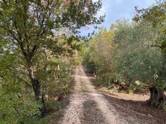 Baita/Bungalow/Chalet/Trullo in Residenziale