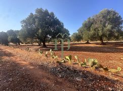 Terreno edificabile in Residenziale