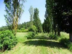 Rustico/Casale in Residenziale