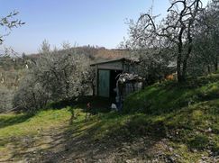 Terreno edificabile in Residenziale