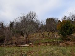 Terreno agricolo in Commerciale