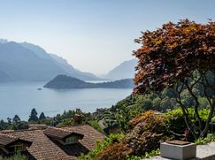 Casa Bi/Trifamiliare in Residenziale