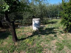 Terreno agricolo in Commerciale