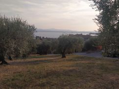 Terreno agricolo in Commerciale