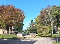 Ufficio in Commerciale