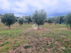 Terreno edificabile in Residenziale