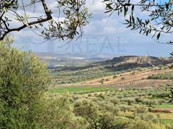 Terreno edificabile in Residenziale