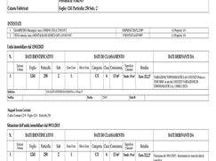 Negozio/Locale commerciale in Commerciale