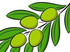 Terreno edificabile in Residenziale