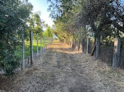 Terreno agricolo in Commerciale