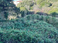 Terreno edificabile in Residenziale