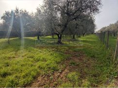Terreno edificabile in Residenziale
