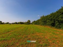 Terreno agricolo in Commerciale