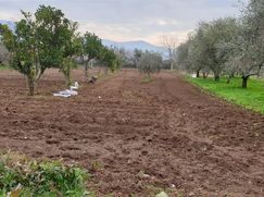 Terreno edificabile in Residenziale