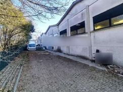 Negozio/Locale commerciale in Commerciale