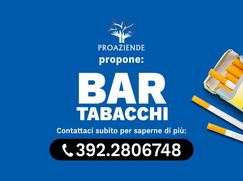 Attività/Licenza (con o senza mura) in Commerciale