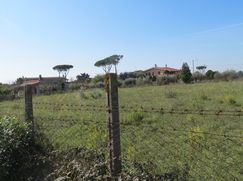 Terreno agricolo in Commerciale