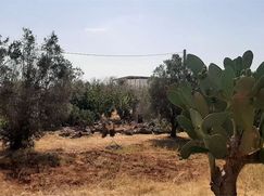 Terreno edificabile in Residenziale