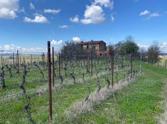 Rustico/Casale in Residenziale