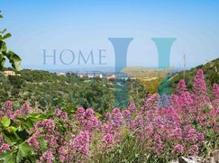 Terreno edificabile in Residenziale